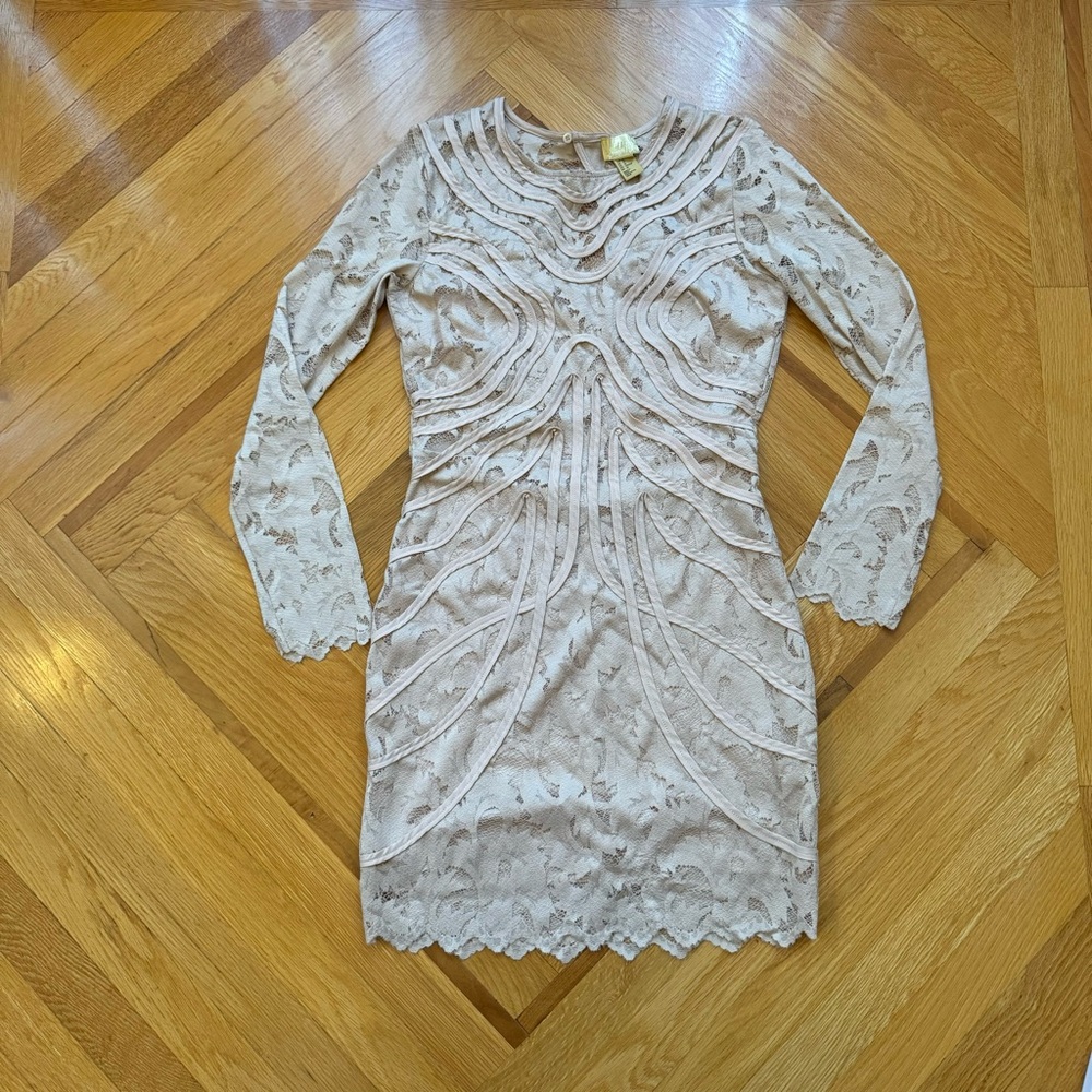 H&M Gold Label Backless Long Sleeve Lace Mini Dress